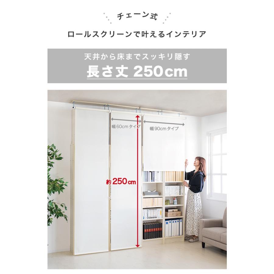 耐震本棚 ロールスクリーン付き 幅60 奥行26 突っ張り 耐震 本棚 薄型