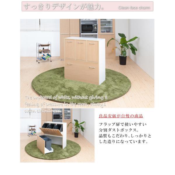 ダストボックス 5分別 幅80.5cm キッチン収納 ゴミ箱 おしゃれ スリム