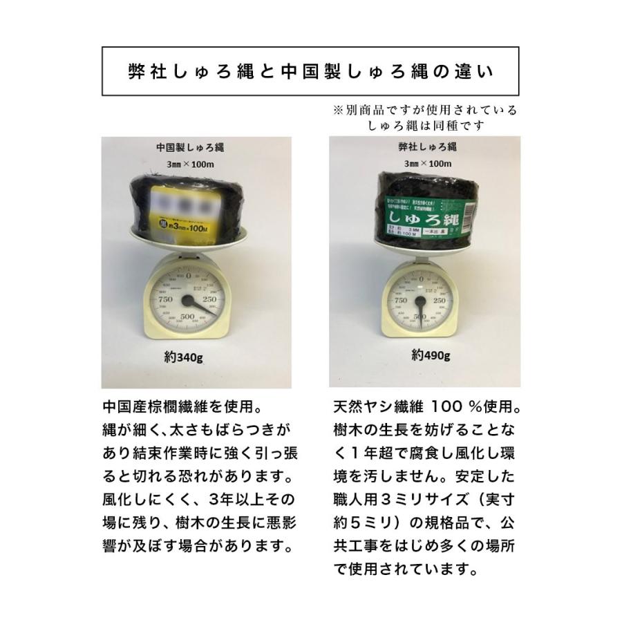 シュロ　しゅろ　大株　3m 掘り起こしてくれる方限定　群馬県 シュロ縄(黒)3mm×20m「3432」