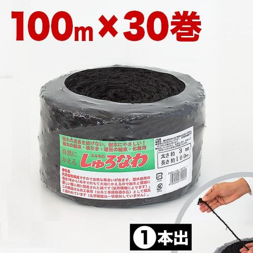 シュロ　しゅろ　大株　3m 掘り起こしてくれる方限定　群馬県 しゅろ縄 平巻 3mm 100m 黒 30個入 入り数30 棕櫚 シュロ クロ