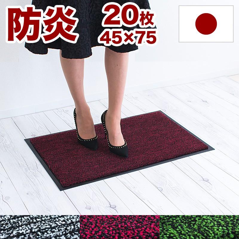 シュロ 和棕櫚 唐棕櫚 幹高180〜190cm 引き取り限定 シュロ 和棕櫚 唐