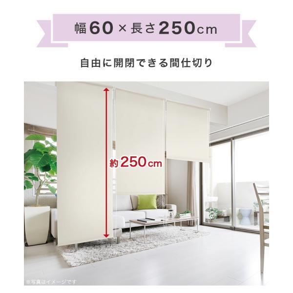間仕切り 幅60 丈250cm ロールスクリーン 目隠し 巻上器付き 幅60cm×高