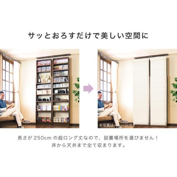 6本セット ロールスクリーン 幅90 丈250cm 目隠し 業務用 まとめ売り 
