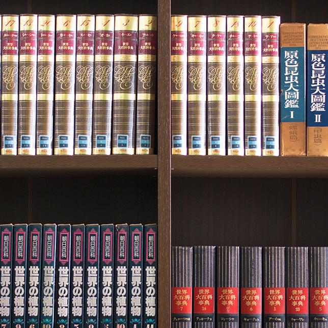 国産本棚 書棚 日本製 強い棚板 幅120 ダークブラウン 木製 本棚 強化