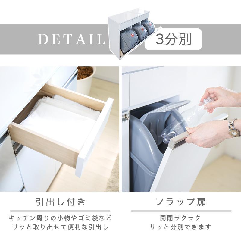 ダイニングダストボックス3D 3分別 ゴミ箱 家具調 キャスター付き 台所