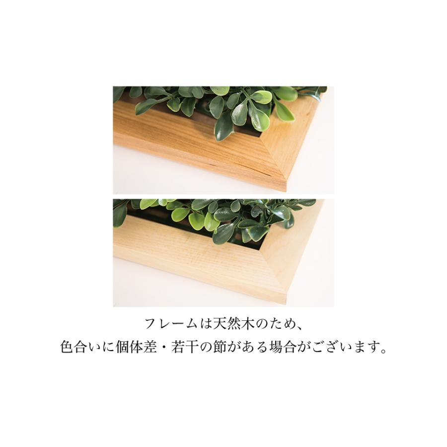 壁面グリーン 2個セット アートグリーン 35cm ウッドフレーム付き