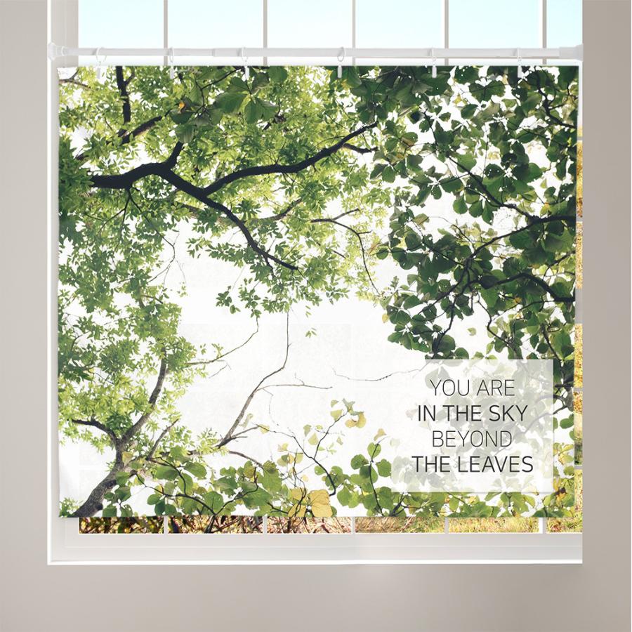 タペストリー リーフスカイ 150x130cm おしゃれ インテリア 大きい 大判 北欧 新築祝い シンプル 背景布 韓国 雑貨 壁 絵 サンサンフー Cn インテリア生活雑貨のサンサンフー 通販 Yahoo ショッピング