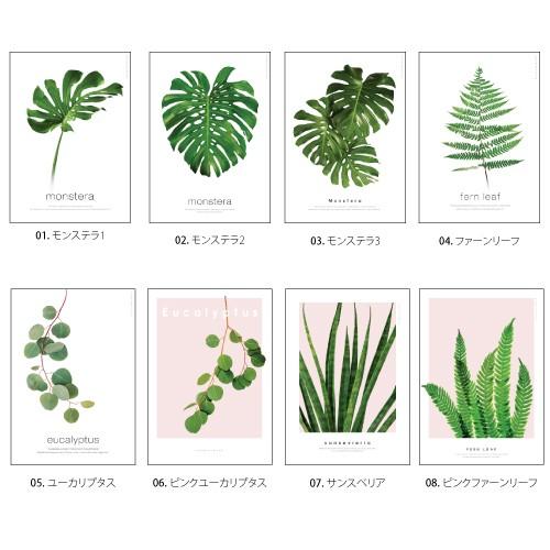 ポスター インテリア アートポスター 植物 おしゃれ フォトポスター サンサンフー リーフコレクション 50 70 フレームなし Pf0257 インテリア生活雑貨のサンサンフー 通販 Yahoo ショッピング