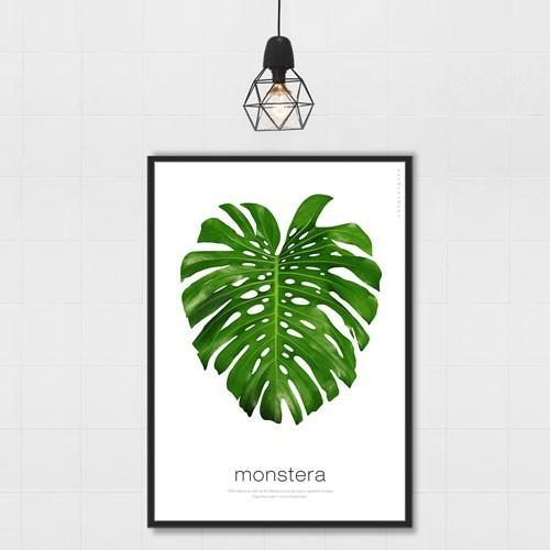 ポスター インテリア アートポスター A3 植物 おしゃれ フォトポスター サンサンフー リーフコレクション A3 フレームなし Pf02a3 インテリア生活雑貨のサンサンフー 通販 Yahoo ショッピング