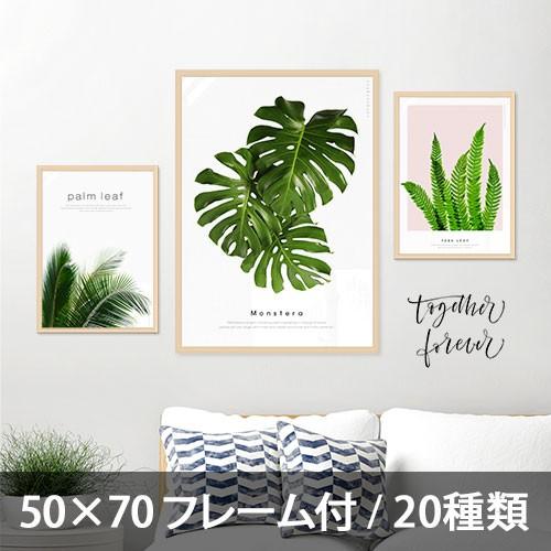 ポスター インテリア アートポスター 植物 おしゃれ フォトポスター サンサンフー リーフコレクション 50 70 フレーム付 Pfs257 インテリア生活雑貨のサンサンフー 通販 Yahoo ショッピング