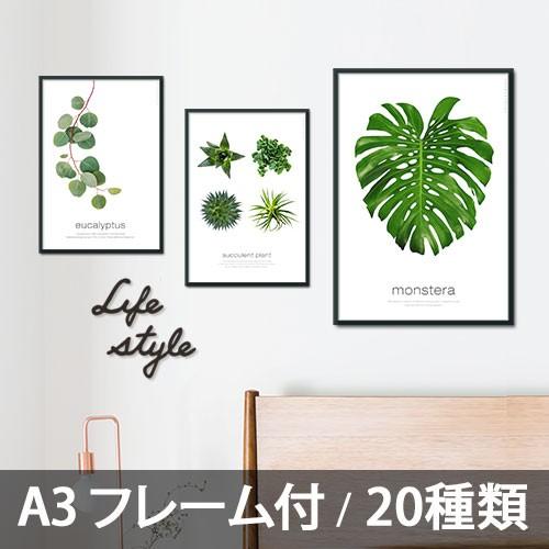 ポスター インテリア アートポスター A3 植物 おしゃれ フォトポスター サンサンフー リーフコレクション A3 フレーム付 Pfs2a3 インテリア生活雑貨のサンサンフー 通販 Yahoo ショッピング