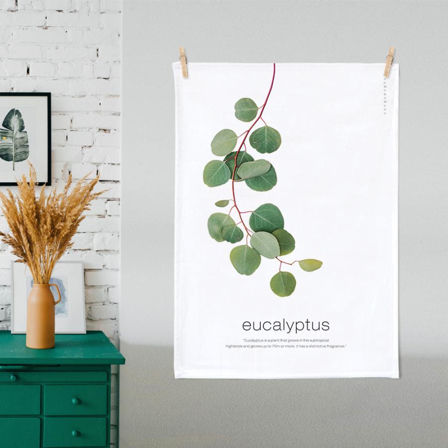 タペストリー ユーカリプタス 50x70cm 飾り付け おしゃれ インテリア 部屋 癒し 家 シンプル ファブリック ポスター 北欧 玄関 窓 新築祝い 背景布 サンサンフー Te インテリア生活雑貨のサンサンフー 通販 Yahoo ショッピング