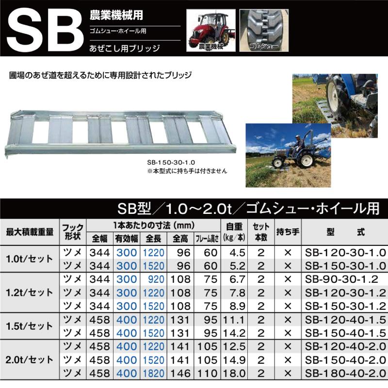 ALINCO（アルインコ） 2.0t 2本セット 有効幅400 全長1220 SB-120-40
