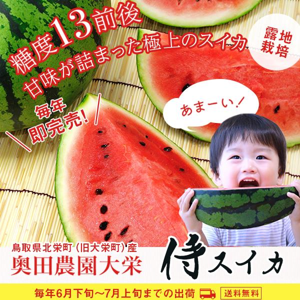 6月下旬〜7月上旬出荷 鳥取 大栄侍スイカ 2Lサイズ 露地栽培 奥田農園