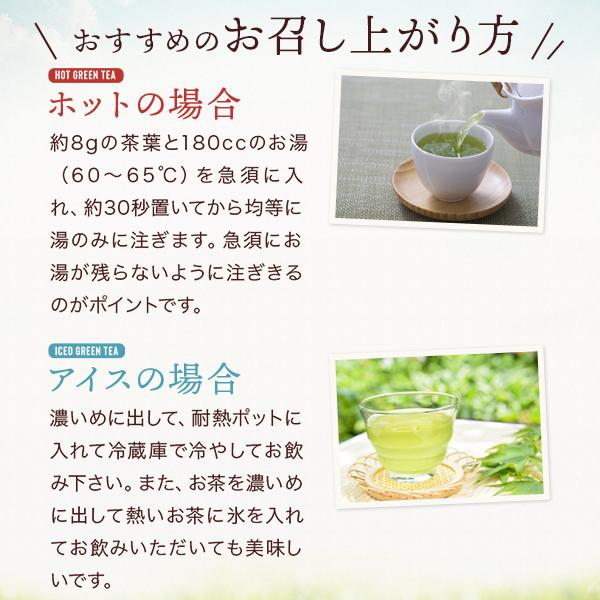 千茶荘 緑茶 煎茶 抹茶入り 玉真 150g ご自宅用 メール便 包装・のし不可｜sanin-umaimono｜07