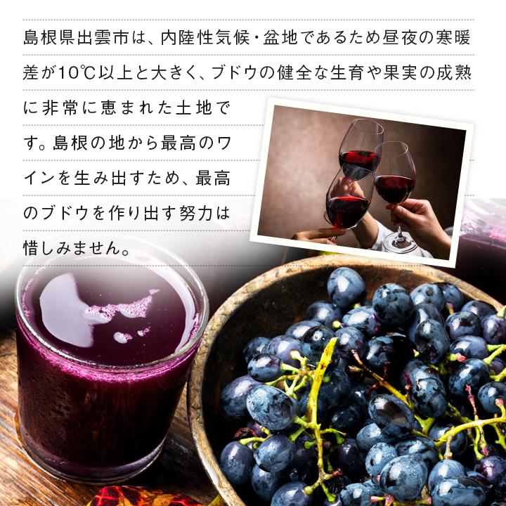 赤ワイン オリジナルスイート 12％ 赤 550ml  島根ワイナリー｜sanin-umaimono｜07