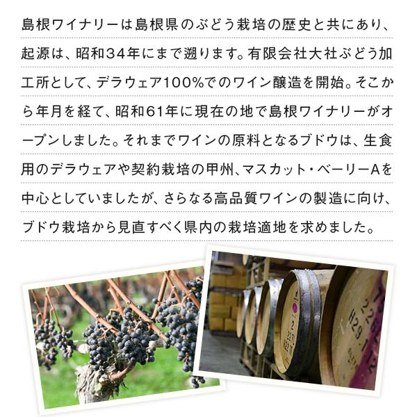 白ワイン オリジナルスイート 14％ 白 720ml×6本 島根ワイナリー｜sanin-umaimono｜06