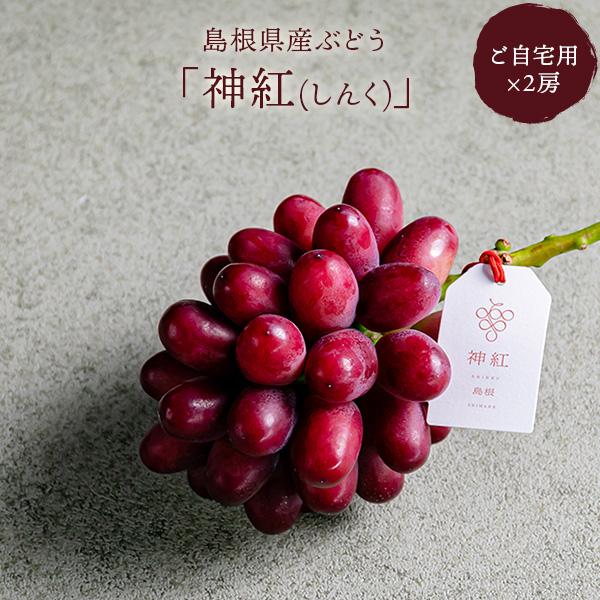ぶどう 神紅 （しんく） ご家庭用 2房 島根県オリジナル品種 種なし