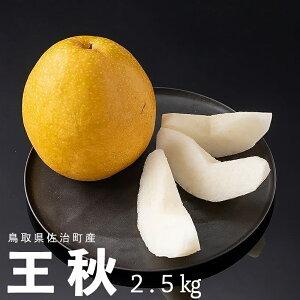 鳥取県産 梨 王秋梨 2.5kg（4〜6玉）おうしゅうなし ギフト たにがみ