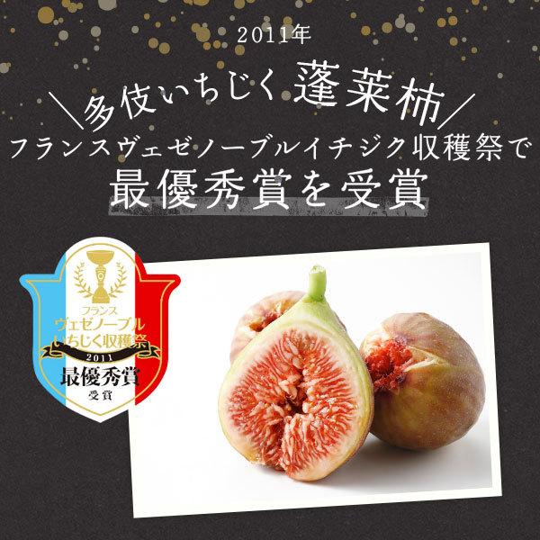 国産 干しいちじく 島根県多伎町産 100g×5袋 JAしまね 出雲 : 鳥取