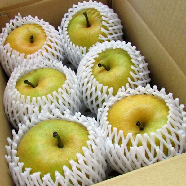 予約 鳥取県産 梨 新甘泉 2.5kg（5個〜8個）しんかんせん ギフト たに