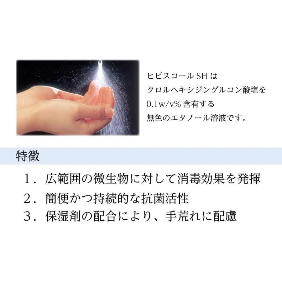 SARAYA サラヤ ヒビスコールSH 1L×2本 ポンプ付き 指定医薬部外