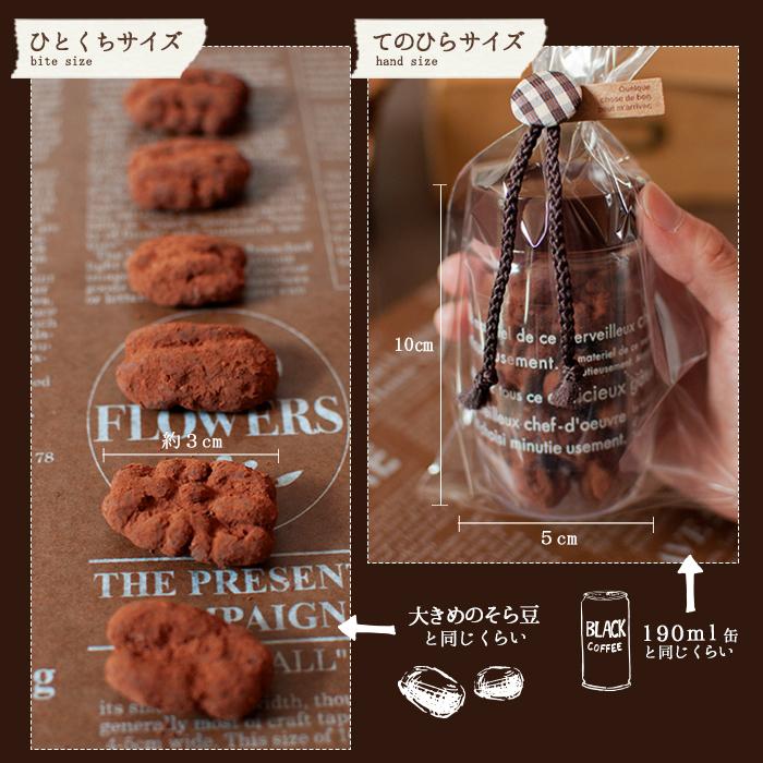 チョコレート プチギフト ココアナッツチョコレート ピーカンナッツ