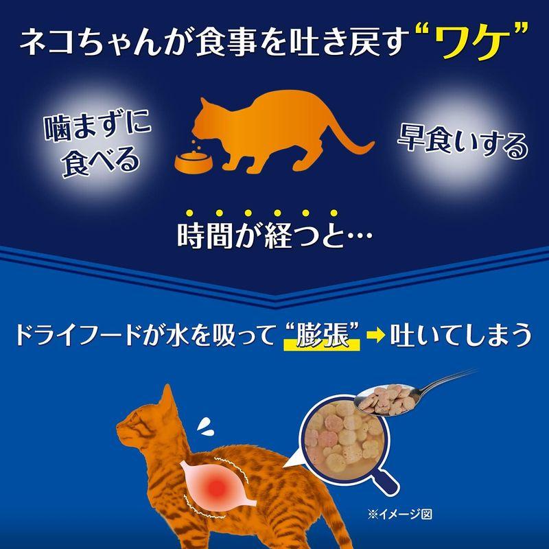 オールウェル（AllWell）キャットフード ドライ 成猫の腎臓の健康維持用 フィッシュ味 吐き戻し軽減 9.6kg(2.4kg×4個) 国｜sanjose-market｜11