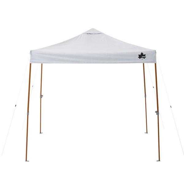 LOGOS（ロゴス） タープ ソーラーブロック Qセットタープ220 簡易