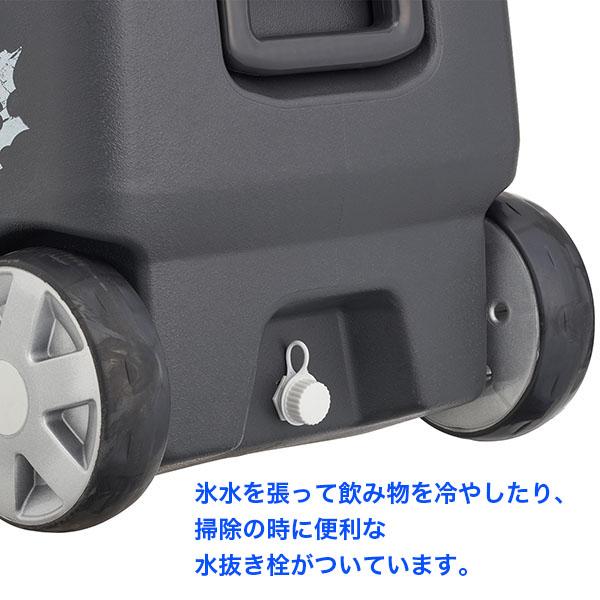 LOGOS ロゴス クーラー ボックス サーモテクト 氷点下クーラー40