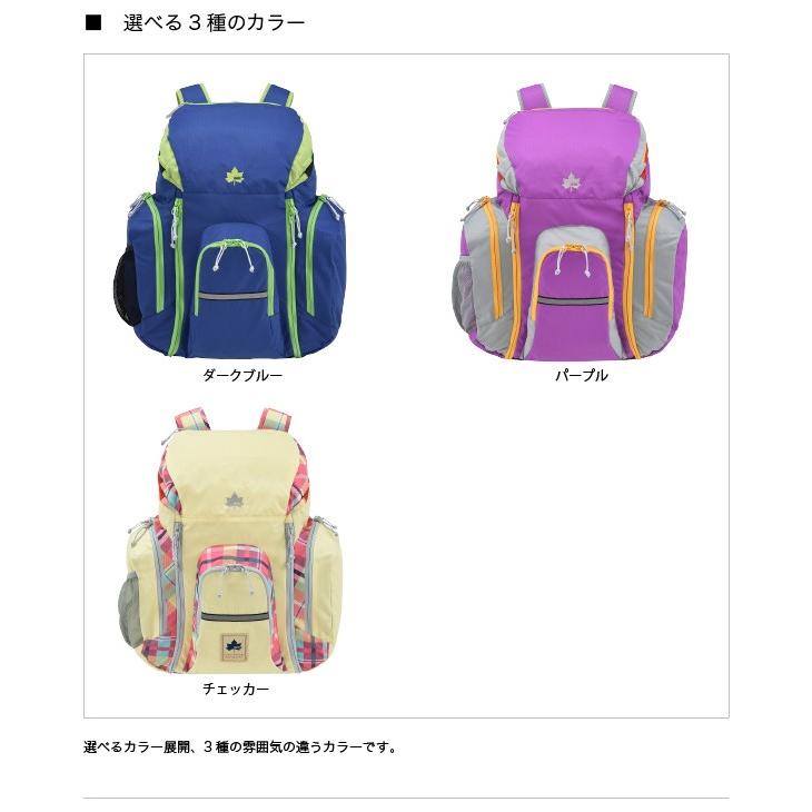 リュックサック デイパック ロゴス LOGOS リュック LOGOS 林間リュック