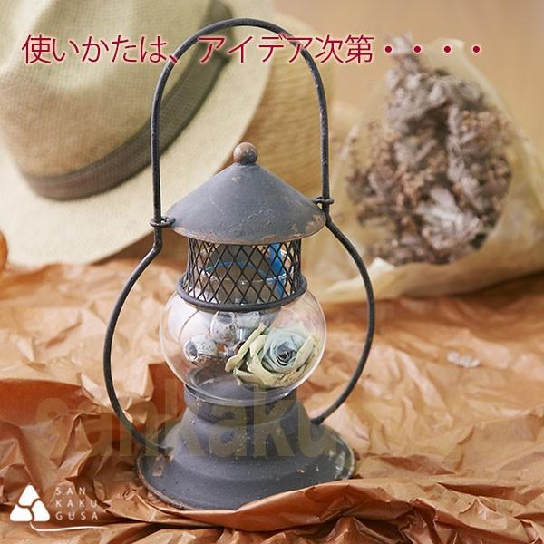 SPICE of Life（スパイス オブ ライフ） 在庫限り ポルテミニランタン