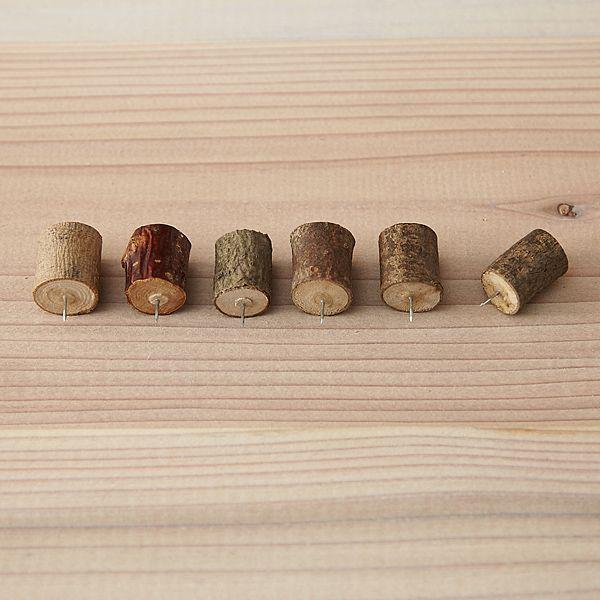 ウッドプッシュピン Tree Stump Pin 木の押しピン 6本 Wpin さんかく草 通販 Yahoo ショッピング