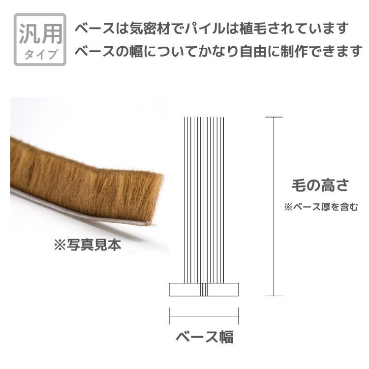 小杉様確認用 0000000002902_rkAIZFL.jpg