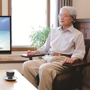 エムケー電子 みみもとホンＴＶ ES-600GT 1セット