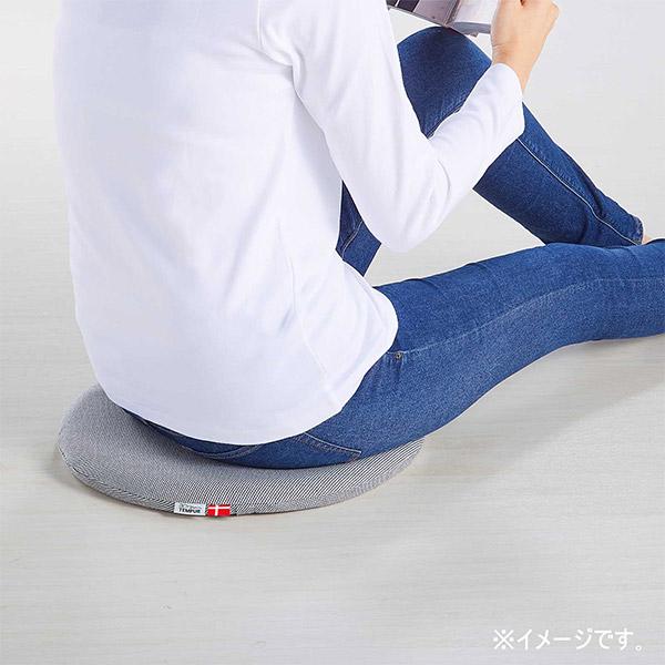 テンピュール マルマルクッション 1個 : 産経ネットショップ - 通販