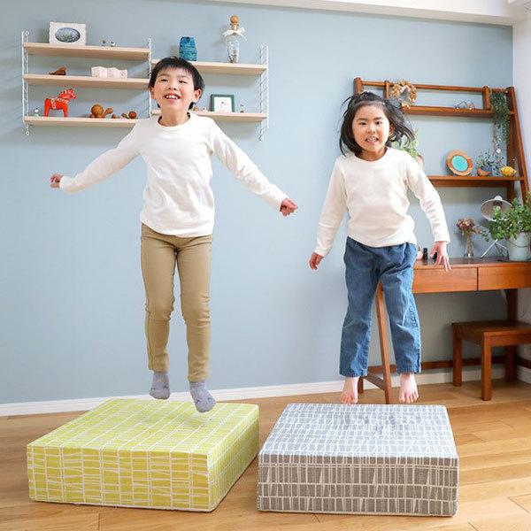 ピーエーエス TOVOCCA（トボッカ） ホームフィットネスクッション 1台