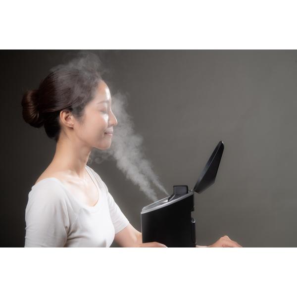 【メール便】 日光精器 nicoja 超音波化粧水ミストスチーマー 6R817 1台 【2838753575】(16820円)