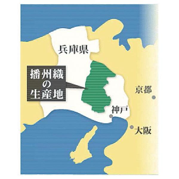 フレンドリー 日本製わたもうふの柔らかパジャマ 958177 1着 : 産経