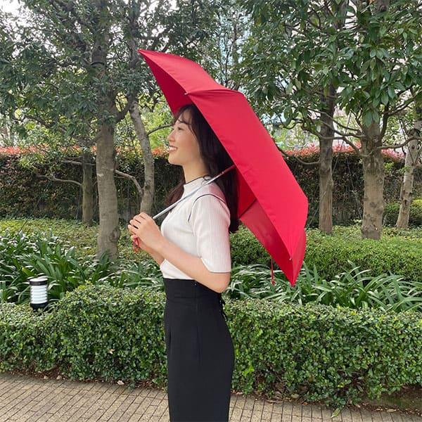 市原 Ramuda 軽量 自動開閉 耐風骨ミノテック オールシーズン