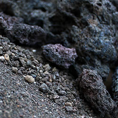 数々のアワードを受賞 高濾過溶岩 国産溶岩砂 S 10mm以下 6l Net3 9kg袋入り 90cm水槽用底砂 Cisama Sc Gov Br