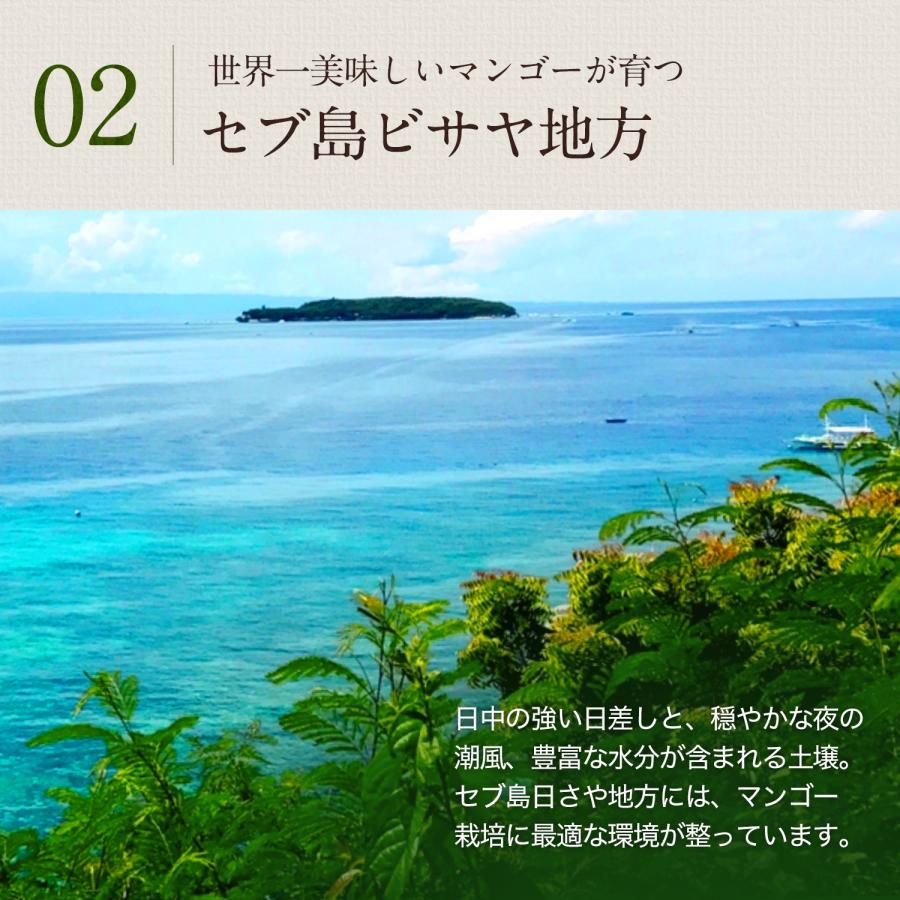 ドライフルーツ マンゴー 7D ドライマンゴー 200g フィリピン セブ ビタミン 食物繊維 栄養 ヨーグルト 美容 美肌 健康 ダイエット おすすめ｜sanko-hc｜07