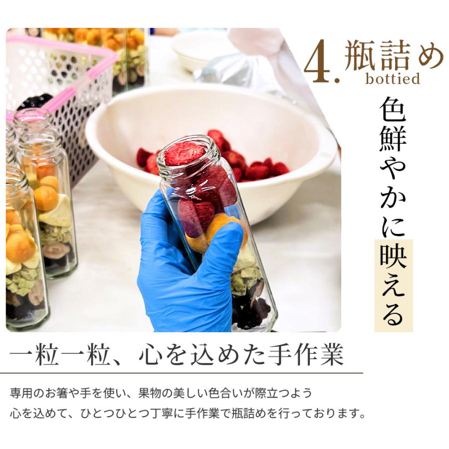ドライフルーツ ギフト ミックス 砂糖不使用 フリーズドライ フルセレ