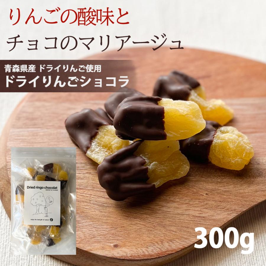 リンゴ ドライフルーツ 国産 ドライ りんご ショコラ 300g チョコ