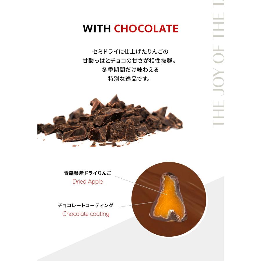 リンゴ ドライフルーツ 国産 ドライ りんご ショコラ 300g チョコ
