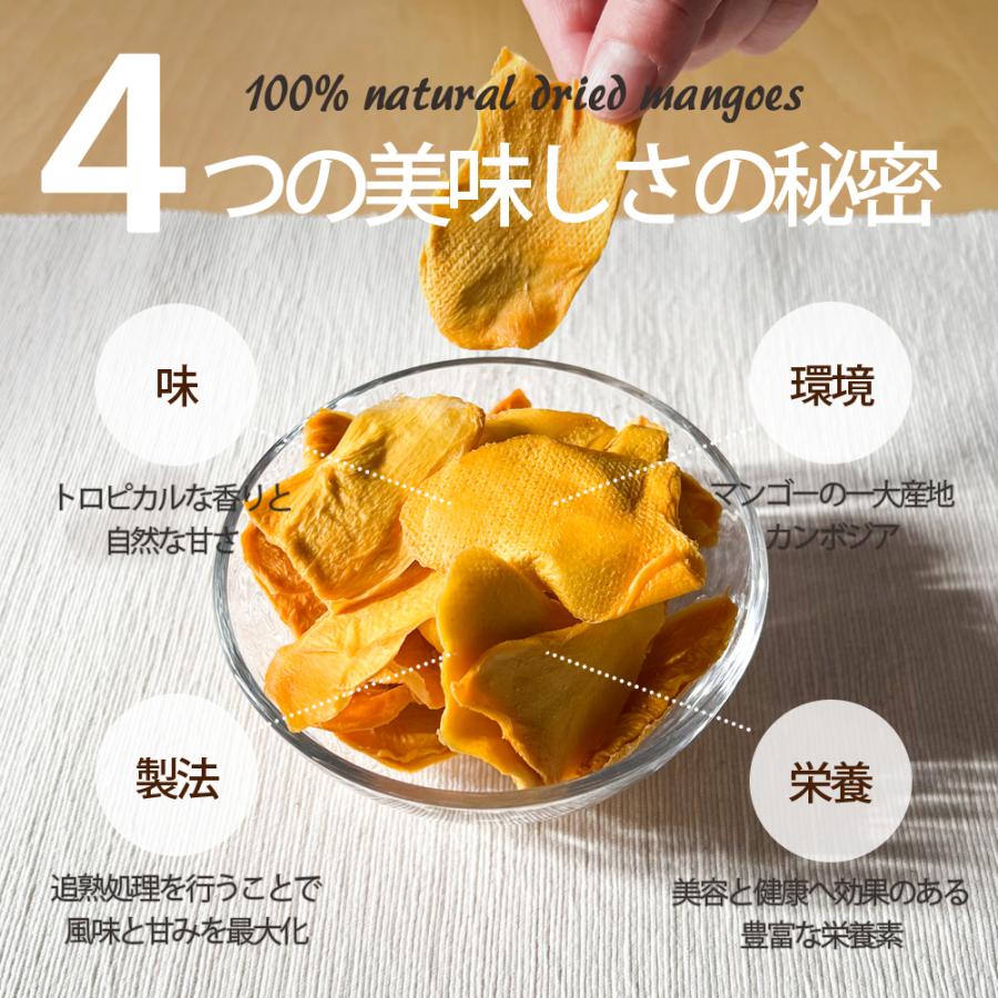 ドライフルーツ 砂糖不使用 無添加 完熟 ドライマンゴー お試し 20g ギフト ヨーグルト 紅茶 トッピング : フルベジール - 通販 ...