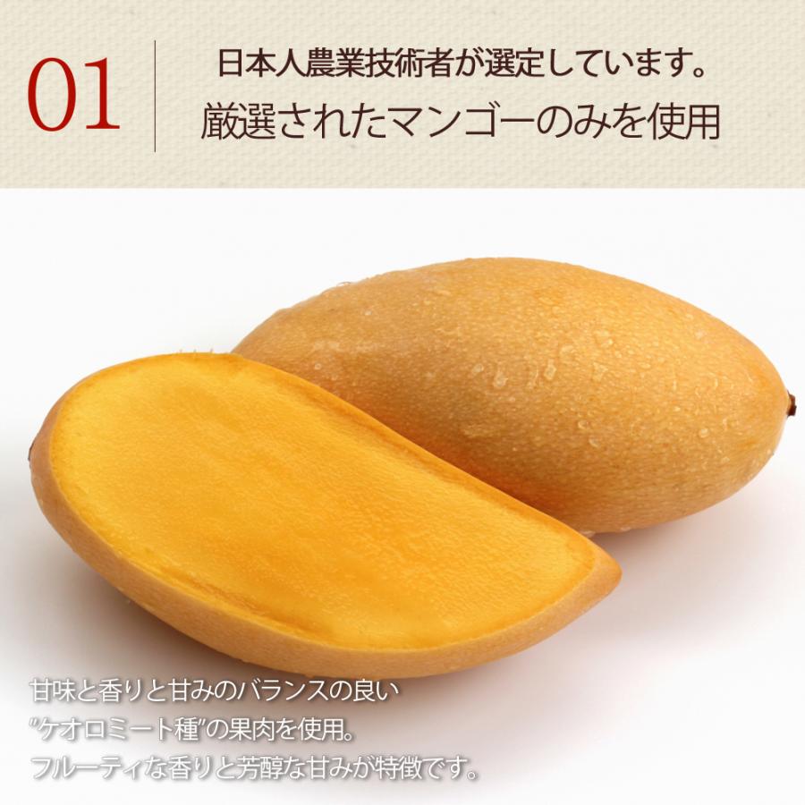 ドライフルーツ 砂糖不使用 無添加 完熟 ドライマンゴー お試し 20g ギフト ヨーグルト 紅茶 トッピング : フルベジール - 通販 ...