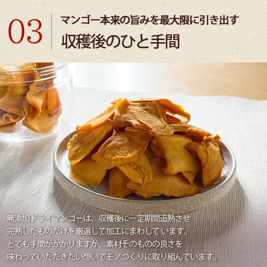 ドライフルーツ 砂糖不使用 無添加 完熟 ドライマンゴー お試し 20g ギフト ヨーグルト 紅茶 トッピング : フルベジール - 通販 ...