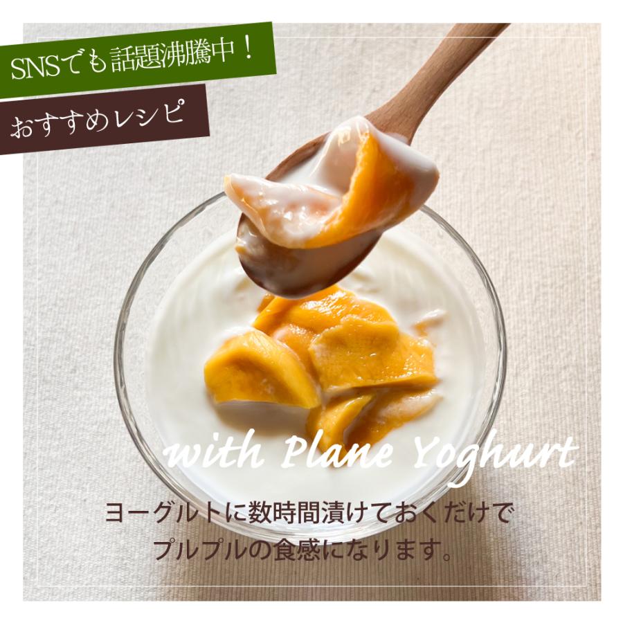 ドライフルーツ 砂糖不使用 無添加 完熟 ドライマンゴー お試し 20g ギフト ヨーグルト 紅茶 トッピング : フルベジール - 通販 ...