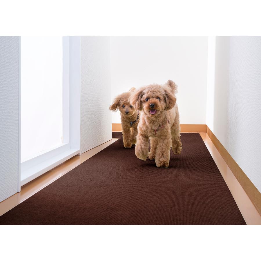 サンコー 廊下用 カーペット ロング マット ペット 60×300cm 敷き 犬